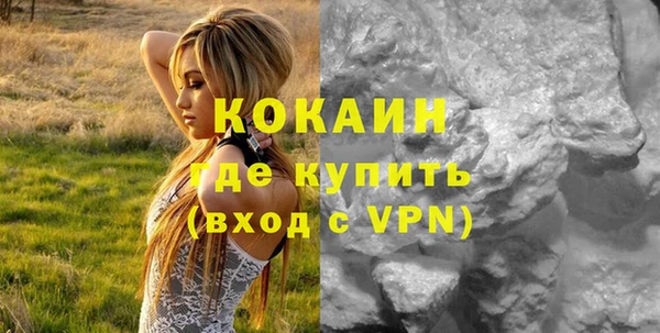 соль ск Алексин