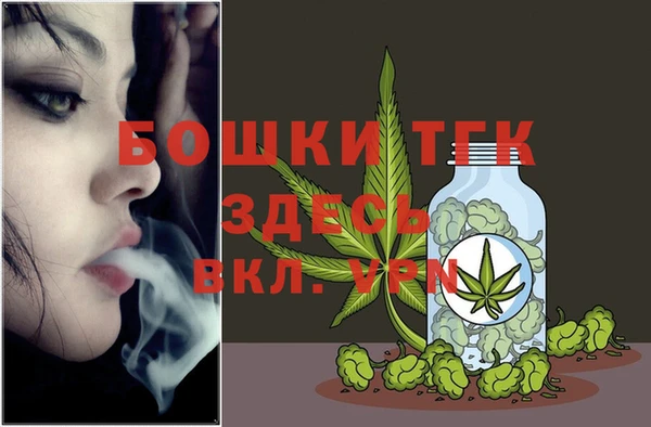 соль ск Алексин